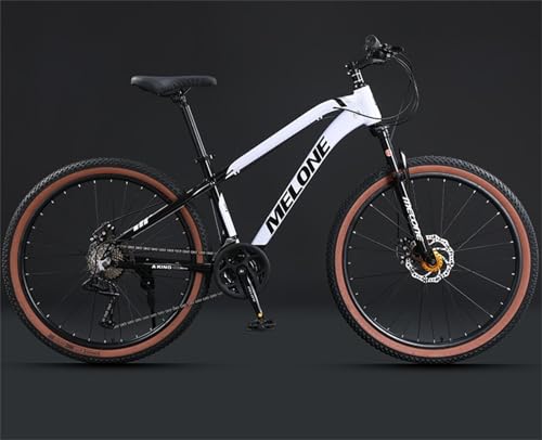 ホワイト マウンテンバイク 軽量アルミ Amazon | 【AVASTA】AV300マウンテンバイク 26インチMTB 通勤